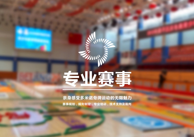 專業賽事